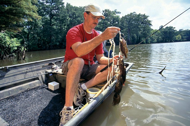 Fish with crazy names make swamp-fishing fun  The Arkansas  Democrat-Gazette - Arkansas' Best News Source
