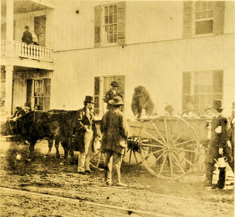 Submitted photo FOR SALE: Quartz crystals are sold from a wagon in front of the Hot Springs Hotel, circa 1875. The hotel was on the southern end of what is now Bathhouse Row.