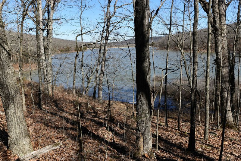 NWA Democrat-Gazette/FLIP PUTTHOFF Lake Wilson is the centerpiece of Lake Wilson Park in Fayetteville. A trail circles the lake, seen here in March, for a hike of about two miles.