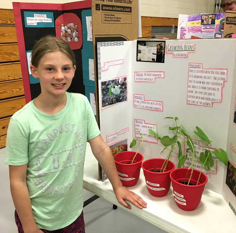 Photo Submitted Kierra Mathews with her science fair project.