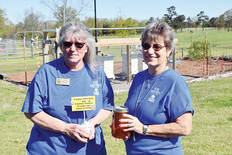 The Pope County Master Gardeners Plant Sale will feature an information table on beekeeping. Pattie Ward, left, raises bees at her apiary on Crow Mountain and will share information she has learned during the past three years as a beekeeper. Ward and Susan Colles show some of the items that will be on display.