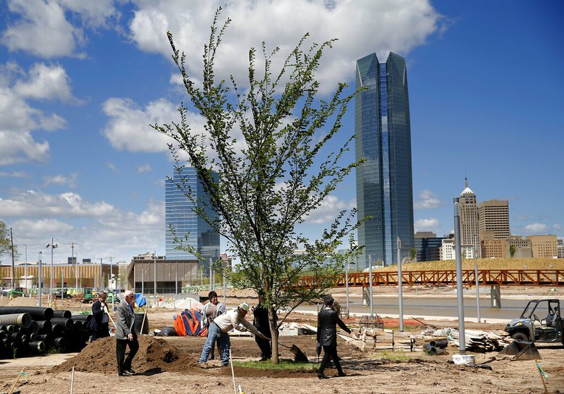 Dignitaries put dirt on a Survivor Tree clone after it was transplanted on the grounds Scissortail Park in Oklahoma City, Friday, April 19, 2019. The Survivor Tree is the 110-year-old American Elm that survived the 1995 bombing of Alfred P. Murrah Federal Building in Oklahoma City. (Sarah Phipps/The Oklahoman via AP)