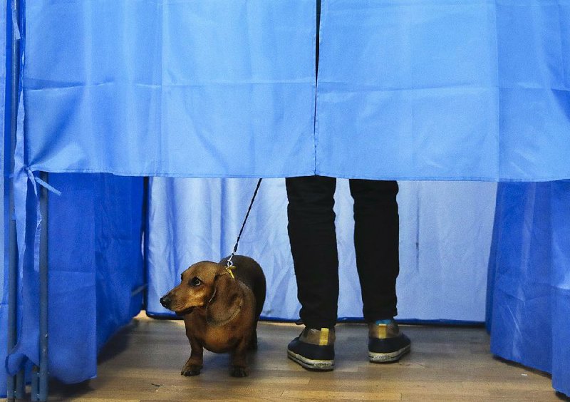 A dog looks out of a voting booth in Kiev, Ukraine, on Sunday as a man casts his ballot during the second round of the presidential election. President Petro Poroshenko accepted defeat before the release of any official returns, citing exit polls that showed comedian Volodymyr Zelenskiy in the lead.