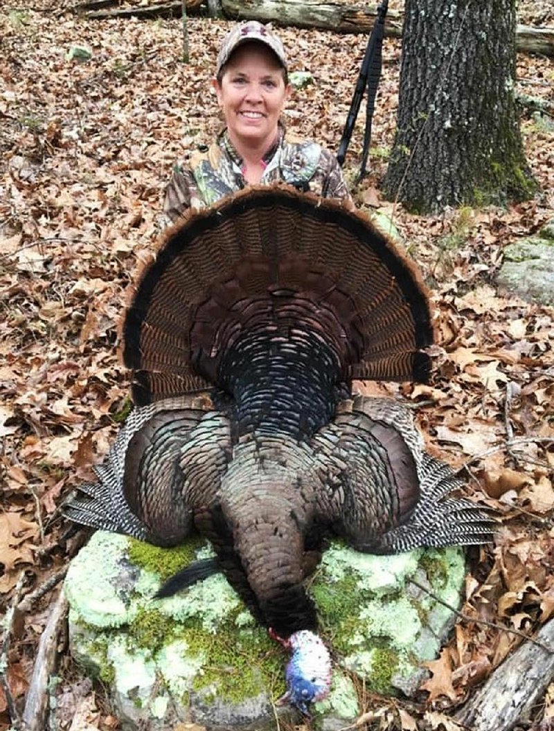 Sheridan hunter bags wild turkey | The Arkansas Democrat-Gazette