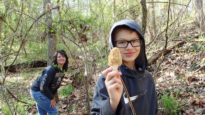 NWA Democrat-Gazette/FLIP PUTTHOFF Few morel mushrooms go undetected with Melissa Nichols (left) and her son, D.J., 13, prowl the hollows in search of the springtime treat. D.J. shows one of about 50 morels the pair found last week in a single hollow near Pineville, Mo.