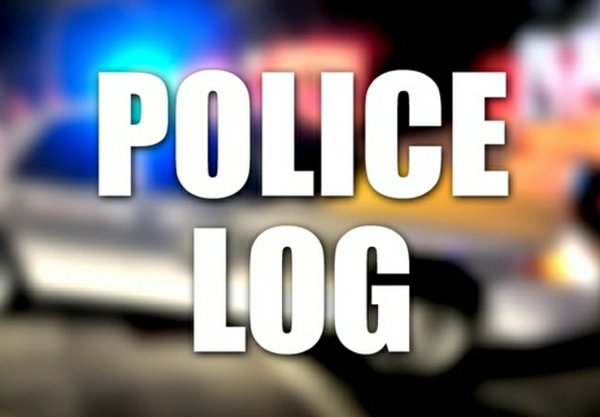 how to write a police log number