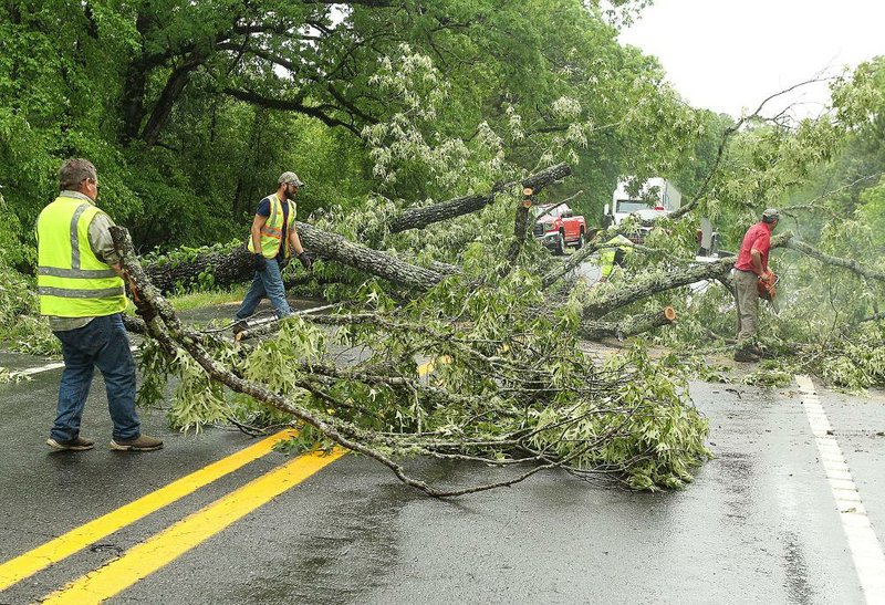 Workers in Garland County clear away an oak tree that toppled Wednesday in the 800 block of Arkansas 128 near Millcreek Road in Fountain Lake. 