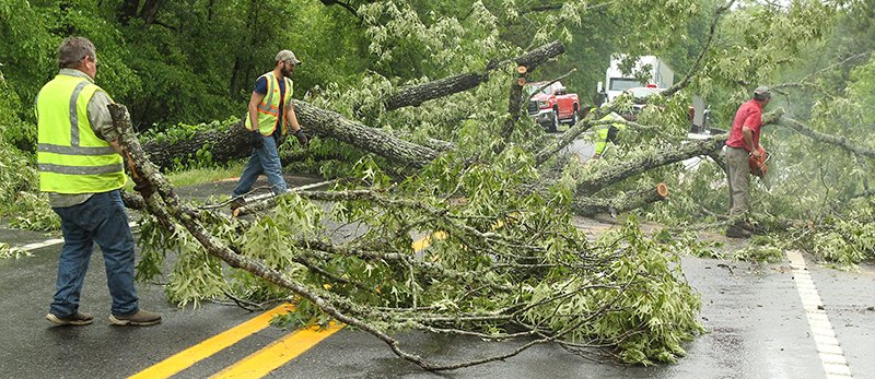 Trees Downed Power Outages Reported