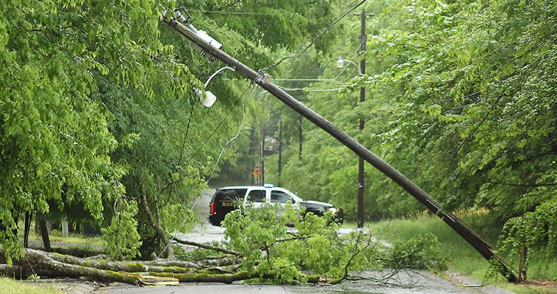 Trees downed, power outages reported