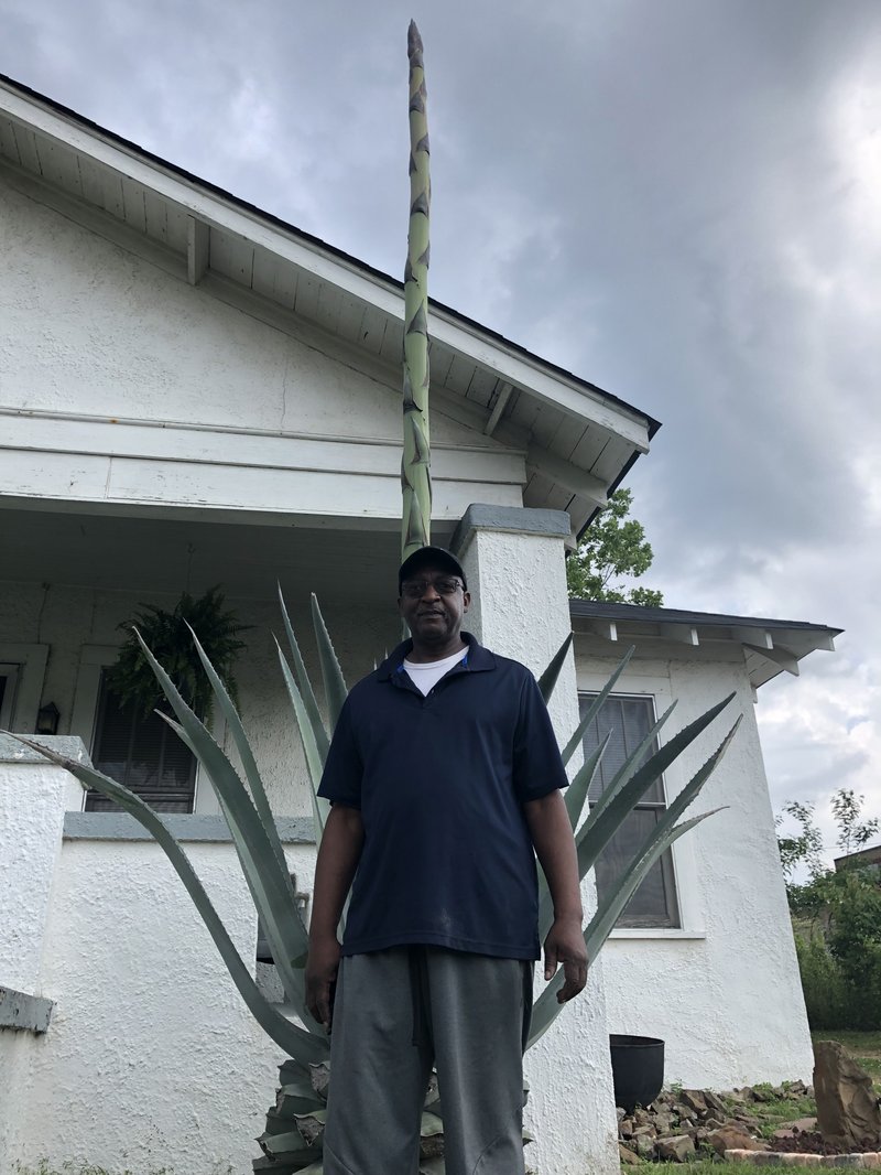 Donny H. McDonald pictured in front of his blooming Century Plant at his home in Magnolia, AR.