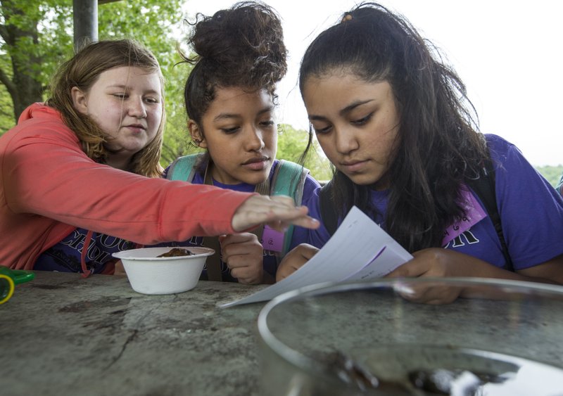 NWA Democrat-Gazette/BEN GOFF @NWABENGOFF
Taylor Manes (from left), Arwend Mendoza and Tracy Perea, all 6th graders, learn about 'creek critters' from the Ozark Natural Science Center Thursday, May 2, 2019, during Lingle Middle School's 22nd Annual Outdoor School at Prairie Creek Recreation Area at Beaver Lake. The program for all of the school's 6th grade classes is scheduled to continue with a Friday session. Students split into small groups to learn about nature and outdoor skills from area experts.
