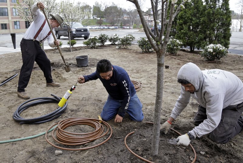 In this April 25, 2017 photo, Stephen Faulkner, far left, owner of Faulkner's Landscaping &amp; Nursery, installs an irrigation system alongside workers Gonsalo Garcia, center, and Jalen Murchison, right, at a landscape project in Manchester, N.H. The Trump Administration is making 30,000 more temporary visas available for seasonal work through the end of September. According to a copy of the rule obtained by The Associated Press, the visas, known as H2-Bs, will go to foreign workers who have held them before over the last three fiscal years for jobs like picking crabs, shucking oysters or seasonal hotel work. They will become available when the temporary rule is published as early as Tuesday. (AP Photo/Elise Amendola)