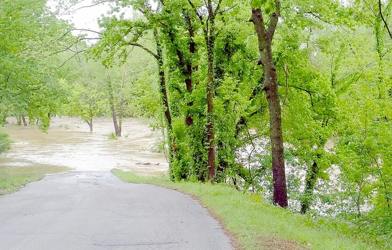 Lynn Atkins/The Weekly Vista Dogwood Drive was closed on Wednesday due to flood waters.