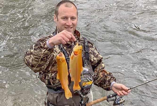 Courtesy photo/ARKANSAS GAME AND FISH COMMISSION Rainbow trout with a golden hue have been stocked in the White River below Bull Shoals Dam.
