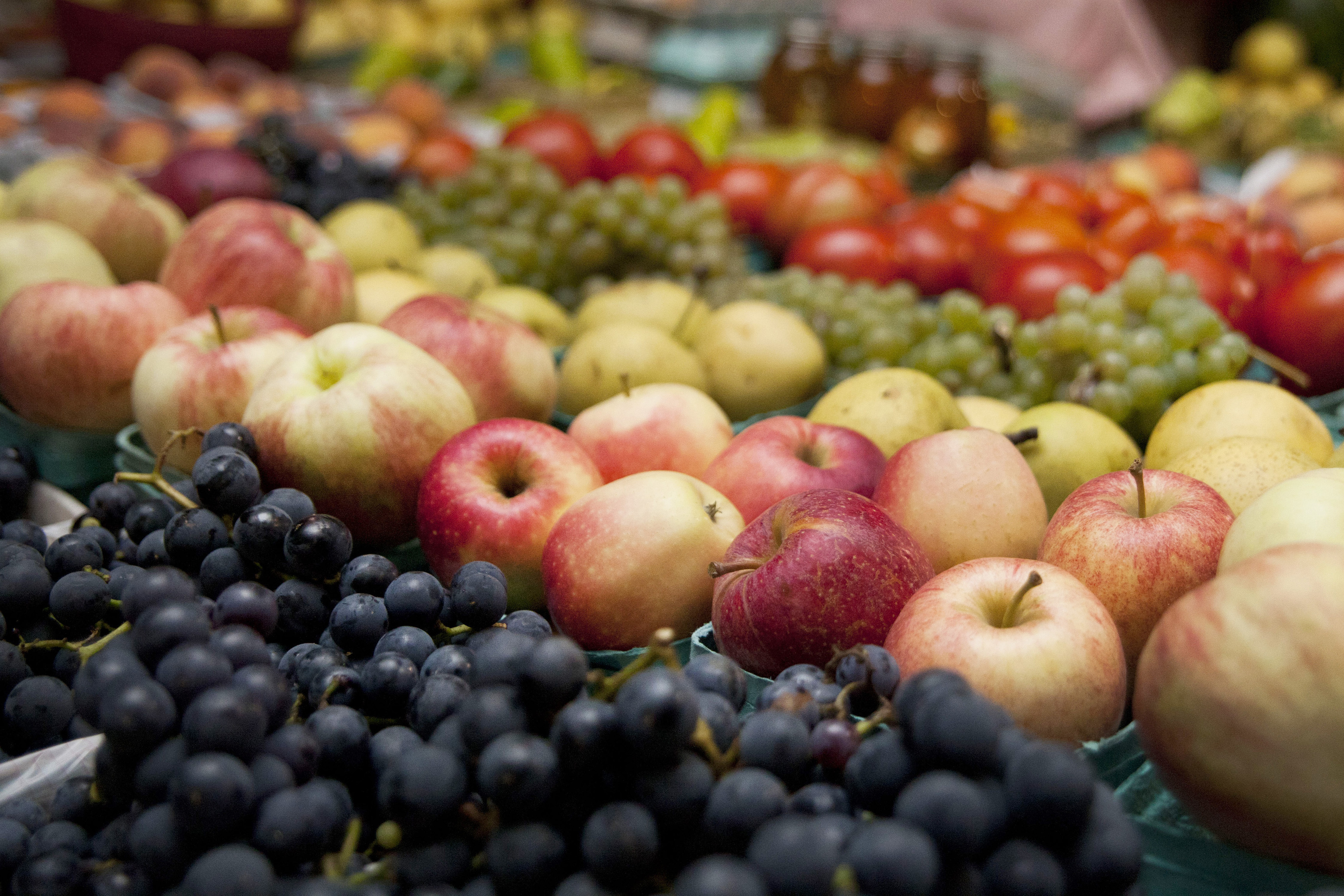 Revised dietary guide released