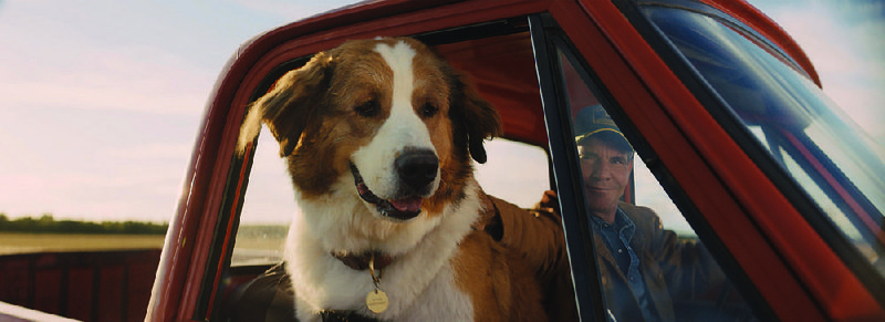 Josh Gad provides the voice for a series of very good dogs — who are actually the same dog reincarnated — in A Dog’s Journey. 