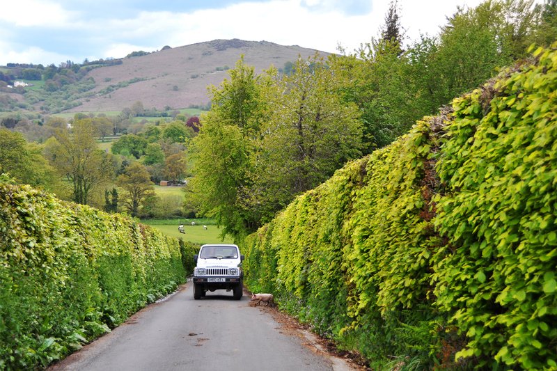 Driving the back roads (as here, in Dartmoor, England) yields surprises by the mile. Photo by Cameron Hewitt via Rick Steves' Europe