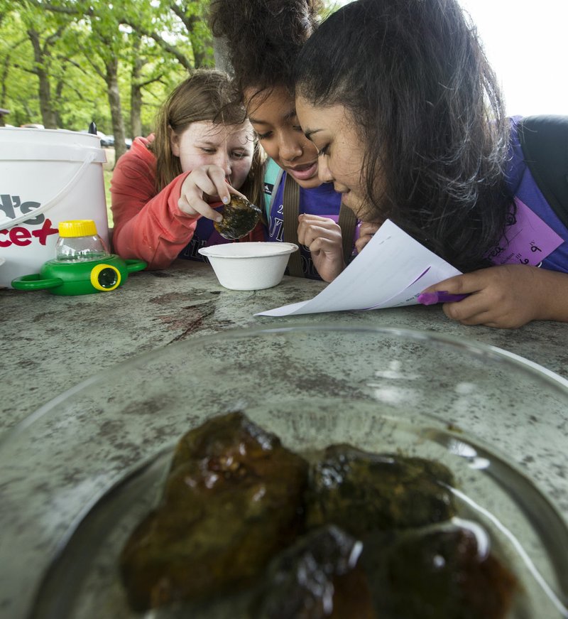 FILE PHOTO NWA Democrat-Gazette/BEN GOFF @NWABENGOFF Taylor Manes (from left), Arwend Mendoza and Tracy Perea, all sixth-graders, learn about "creek critters" from the Ozark Natural Science Center during Lingle Middle School's annual Outdoor School. The Call of the Wild benefit May 31 at the Botanical Garden of the Ozarks will help support the nonprofit Science Center.