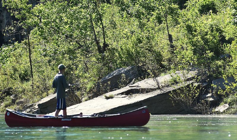Matthew Eldridge of Waco, Texas, tries to coax a bite last week during a float-fishing trip on the Buffalo National River near Rush. Eldridge caught the biggest fish of the trip (photo below) the next day on Crooked Creek.