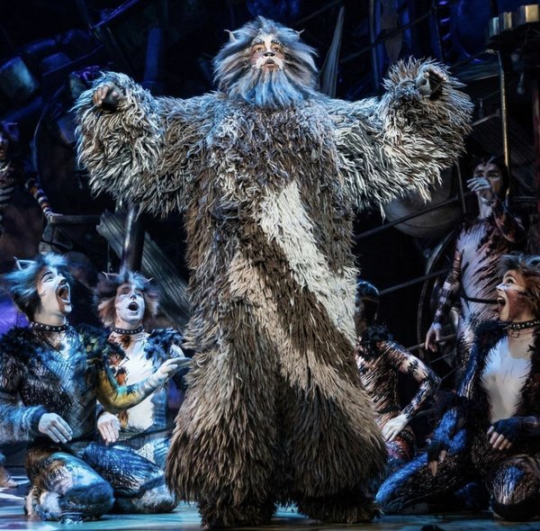 Jellicle Cats, Come Out Tonight! The Arkansas DemocratGazette