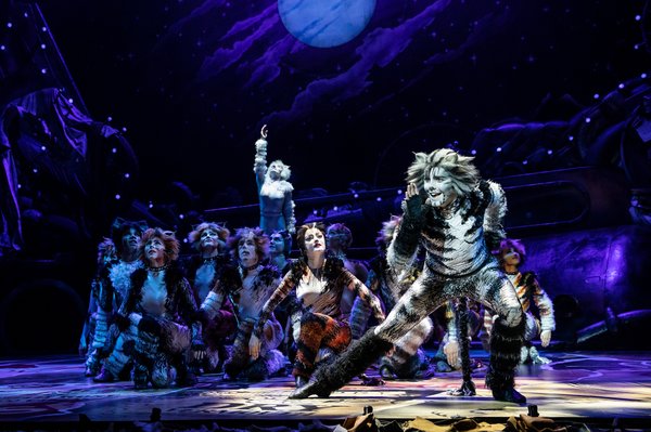 Cats' is back! Reimagined musical set in Harlem's drag Ball Culture to  debut next summer – NBC New York