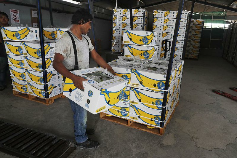 A worker at a farm in Ciudad Hidalgo, Mexico, stacks a box of freshly harvested Chiquita bananas Friday. The tariffs threatened by President Donald Trump would apply to all goods imported from Mexico. 