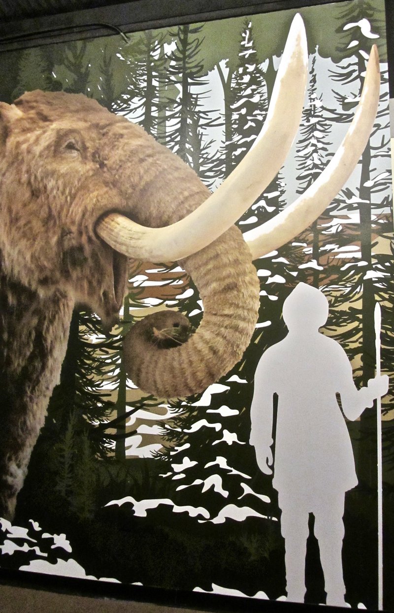 A mural at Shiloh Museum of Ozark History depicts a life-size mastodon and a silhouetted American Indian hunter from prehistoric times. Photo by Marcia Schnedler, special to the Democrat-Gazette