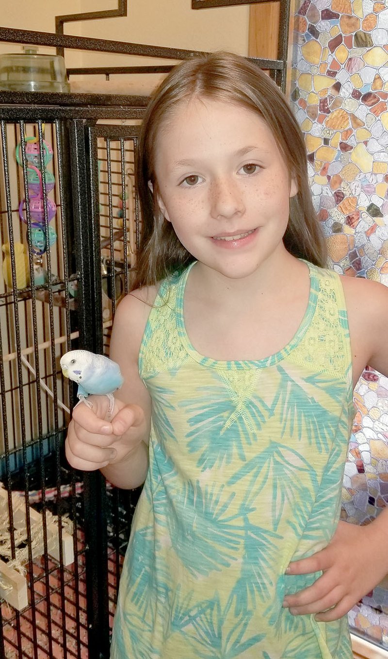 Photo submitted Renee Lundy saw her young parakeet, Jessica, slip out through slightly opened door. Thanks to Facebook they were reunited recently.