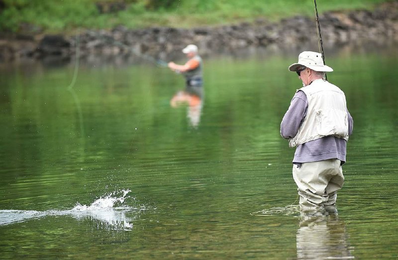 Fishing the Third Branch with Finn - The White River Valley Herald