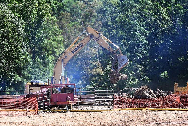 A worker piles stumps Thursday for burning later as a crew cleans up the stump dump in Bella Vista