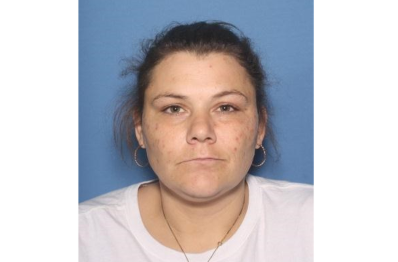 Susan Lee Smith is shown in this photo released by the North Little Rock Police Department.