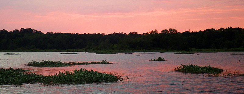 The Sentinel-Record/Corbet Deary BASS HABITAT: Lake Columbia provides a favorable habitat for large bass to thrive.