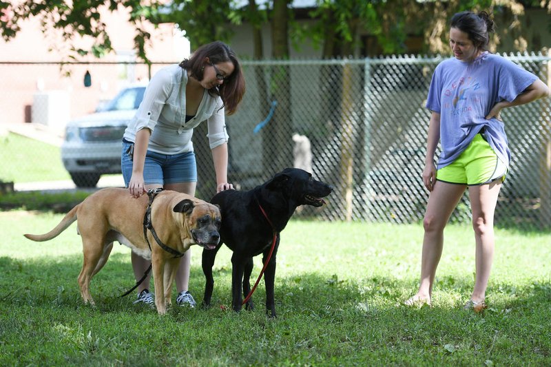 NWA Democrat-Gazette/J.T. WAMPLER Janna Brandon (left) and Paulina Reece, both of Fayetteville, let their dog Annabelle (left) visit Tuesday with Loki at the Fayetteville Animal Shelter. The shelter has waived the $30 or $60 fee to adopt dogs through Saturday.