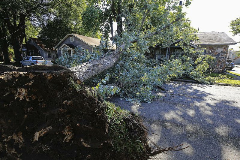 A fallen tree blocks the road Thursday in the 700 block of Orange Street in North Little Rock. Two powerful storm systems moved across the state overnight, causing widespread damage. More photos are available at arkansasonline.com/621damage/ 