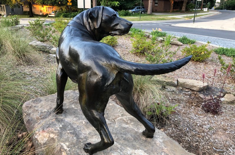 Taking Attendance, a bronze sculpture of a male American Lab by Idaho artist Ken Newman, guards the Heights Roundabout in Little Rock. (Arkansas Democrat-Gazette/CELIA STOREY)
