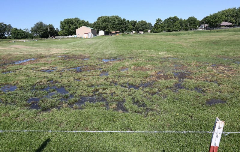 NWA Democrat-Gazette/DAVID GOTTSCHALK Standing surface water is visible Thursday, June 13, 2019, on the property of the Bethel Heights Lincoln Street Waste Water Treatment Plant in Bethel Heights. The Bethel Heights Lincoln Street Waste Water Treatment Plant system is allegedly dumping untreated water on the private property.
