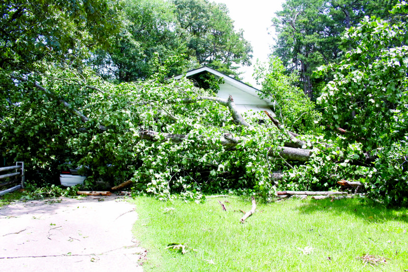 Eddie and Carolyn Yarbrough's home on Marable Hill Road was barely missed by a tree during the storm on Sunday night. However, their car was crushed by the tree. 