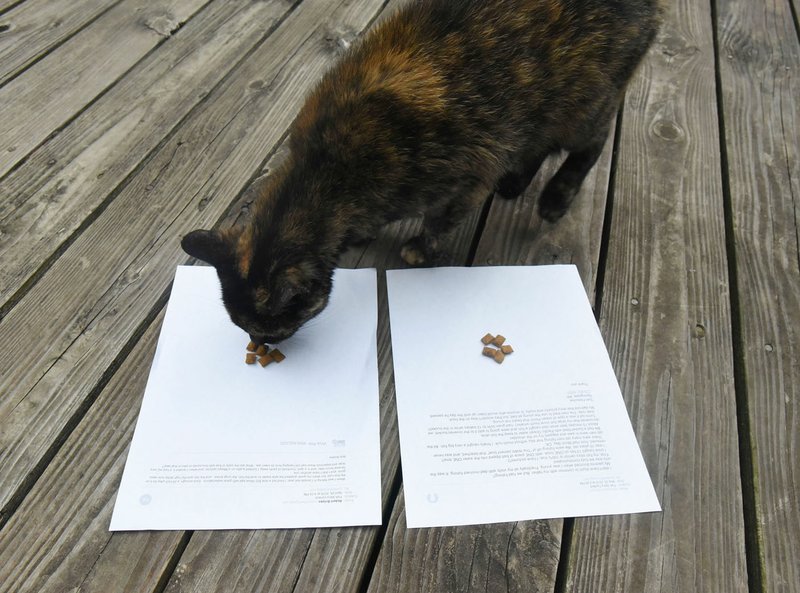 NWA Democrat-Gazette/FLIP PUTTHOFF 
And the winner is ... Bob Britzke of Eureka Springs. T.C., chief fish story judge, goes to Britzke's story to get her treats. The story by Tom Fletscher of Springdale is at right.