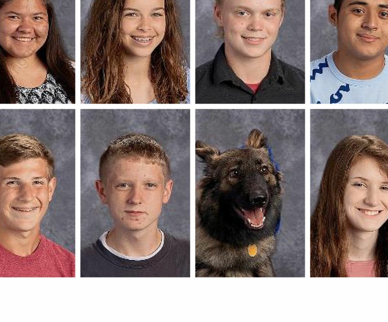 Photo submitted A photo of Jasmine, an autism service dog, was included next to the picture of her handler Jackson Fine in the Siloam Springs High School yearbook.