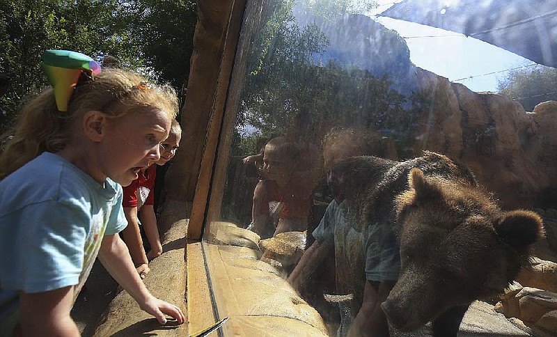 Arkansas Democrat-Gazette/STATON BREIDENTHAL --7/13/19-- Isabella Creasey (left), 5, and Preston Clark, 7, get a close look at a Grizzly Bear Saturday during the Hiland Dairy Dollar Day at the Little Rock Zoo.. See more photos at arkansasonline.com/714zoo/.