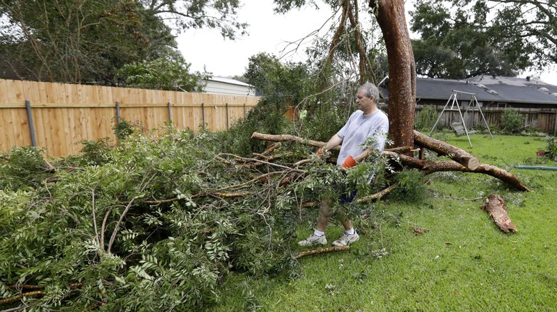 Steve Bergeron collects downed branches from a Tropical Storm Barry damaged backyard tree, Sunday, July 14, 2019, in Morgan City, La. Bergeron and his wife, Lois Bergeron, far background, spent much of their Sunday morning cleaning up tree limbs, clumps of leaves and other storm debris. (AP Photo/Rogelio V. Solis)