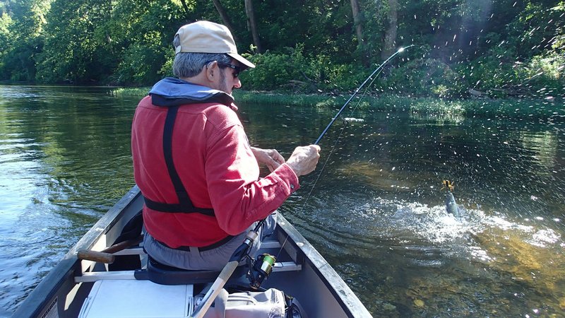 NWA Democrat-Gazette/FLIP PUTTHOFF Russ Tonkinson gets a shower June 13 2019 courtesy of a Kings River smallmouth bass. Patience paid off after two previous tries to float the stream were washed out by high water.