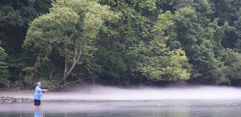 A young angler casts a fly for trout in the heat Tuesday on the Little Red River at the bottom of Libby Shoal near Pangburn.