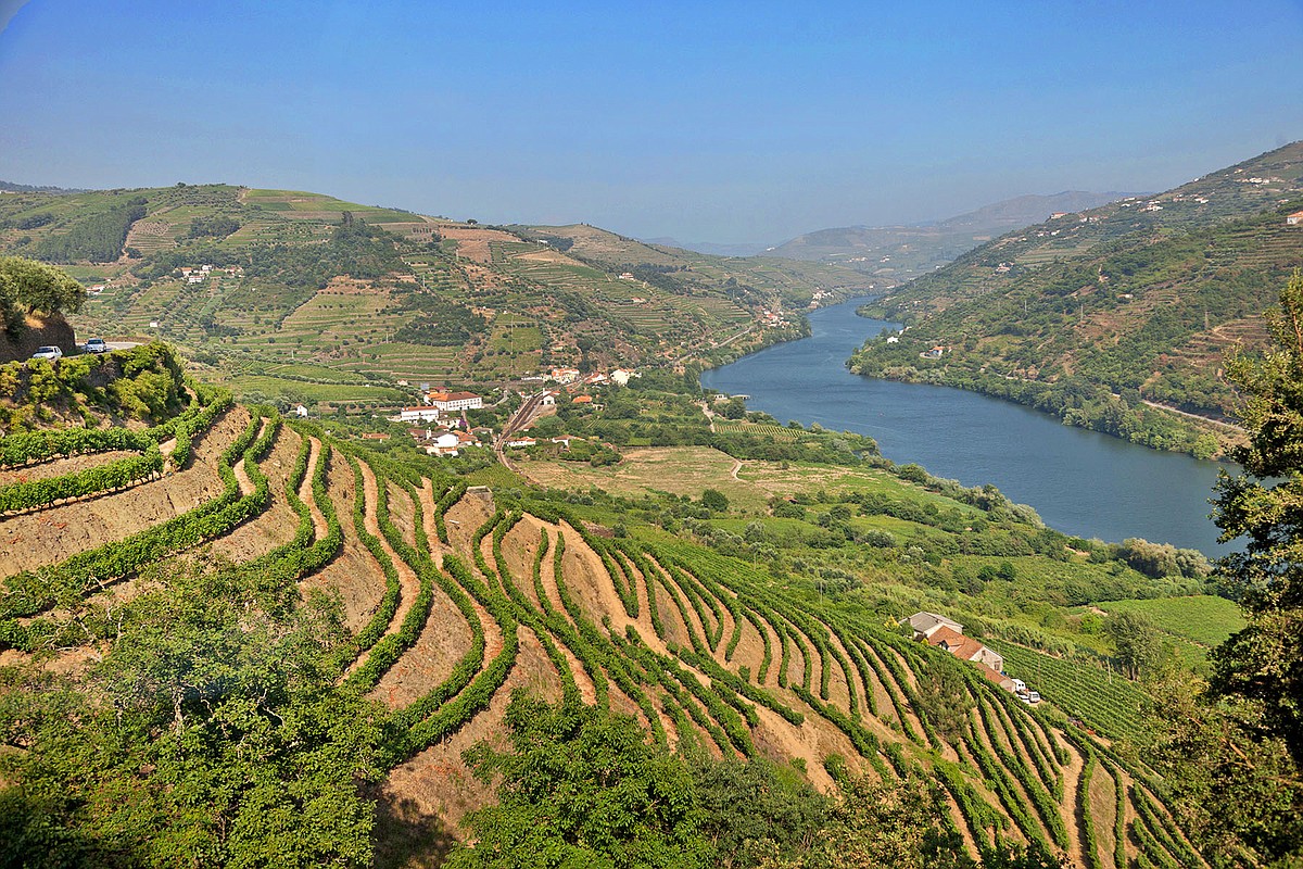Port Wine Quinras of the Douro