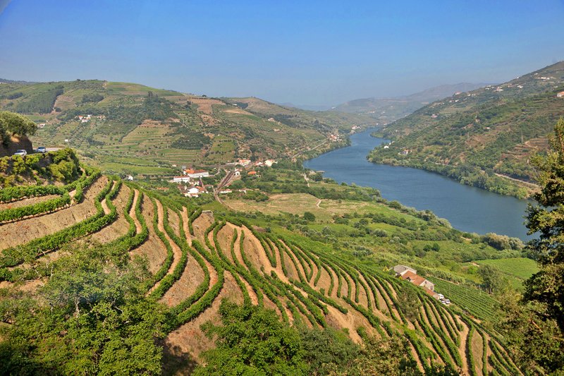 The Douros hillsides are lined with stepped terraces built over the centuries, and more modern large, smooth terraces, with vines planted in vertical rows. (Photo by Dominic Arizona Bonuccelli via Rick Steves' Europe)