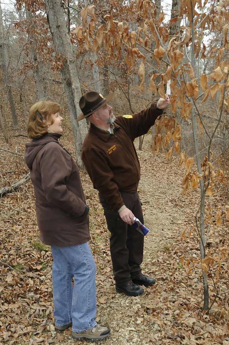 File photo/NWA Democrat-Gazette/FLIP PUTTHOFF Eva Ohlhausen (left) and Jay Schneider look at an Ozark chinquapin tree during a New Year's Day hike in January 2015 on the Sinking Stream Trail at Hobbs State Park-Conservation Area east of Rogers.