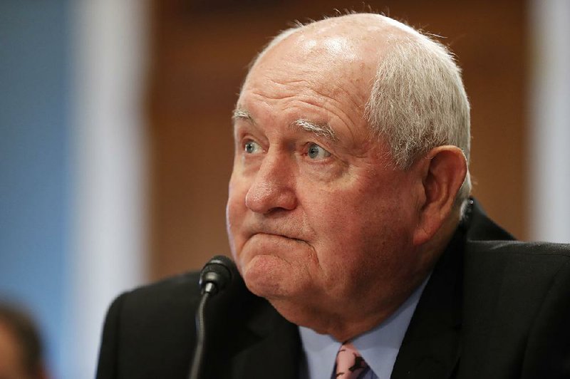 Agriculture Secretary Sonny Perdue is shown in this file photo.