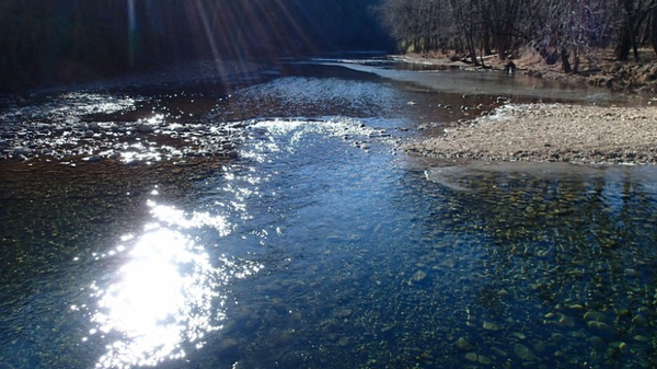 State proposes Buffalo River area trail study - Vimarsana News