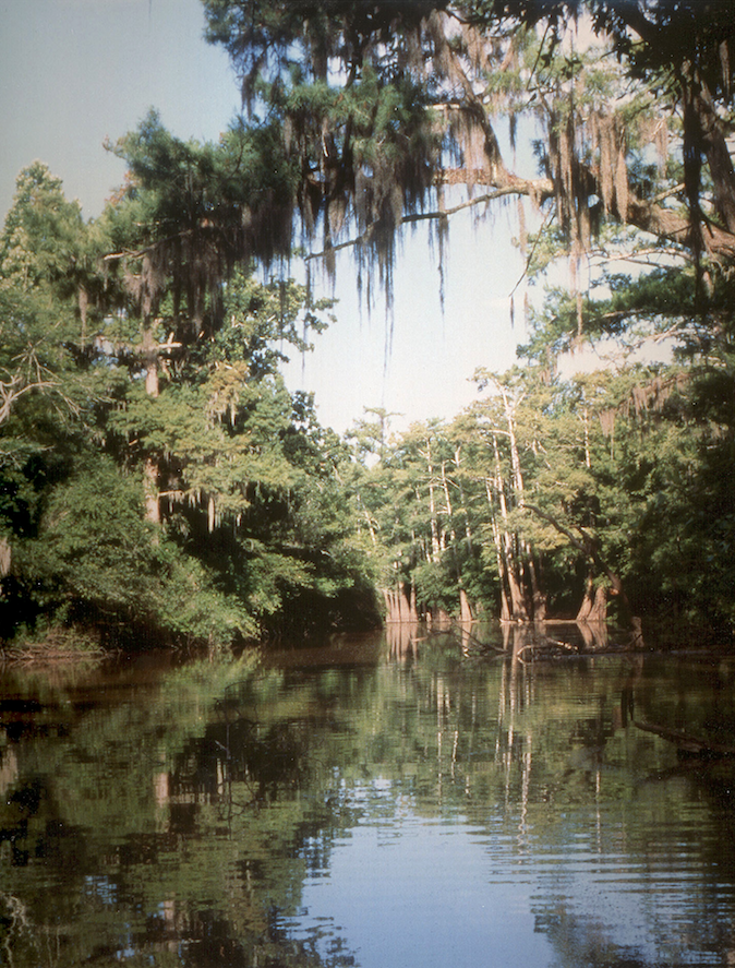 A shaken Alliance Bayou Bartholomew, one the state’s most diverse