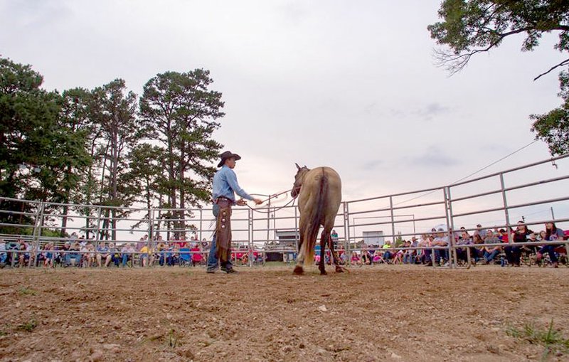 Photo submitted/McDonald County Press Paul Daily with Wild Horse Ministries follows the steps outlined in the &quot;Round Pen of Life&quot; while training an unbroken horse. During his presentations, he compares a relationship with God to a relationship between a horse and trainer.